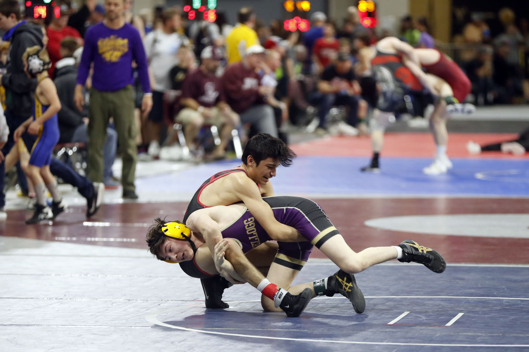 Montana Open